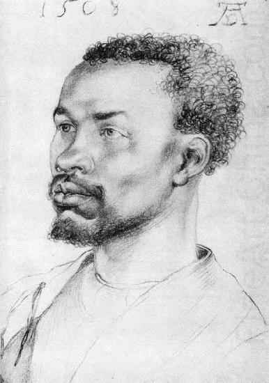 Albrecht Durer Head of a Negro china oil painting image